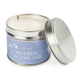Bluebell Woodland candle