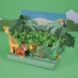 Jungle cress garden