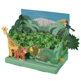Jungle cress garden