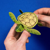 Create your own Swimming Baby Turtle