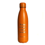 Insulated water bottle