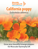 California Poppy Seeds